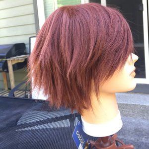 Brand New Short Brown Wig